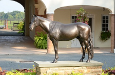 Vanity Fair<br/>Champion Show Pony<br/>Huntland Farm</br> Middleburg, Virginia